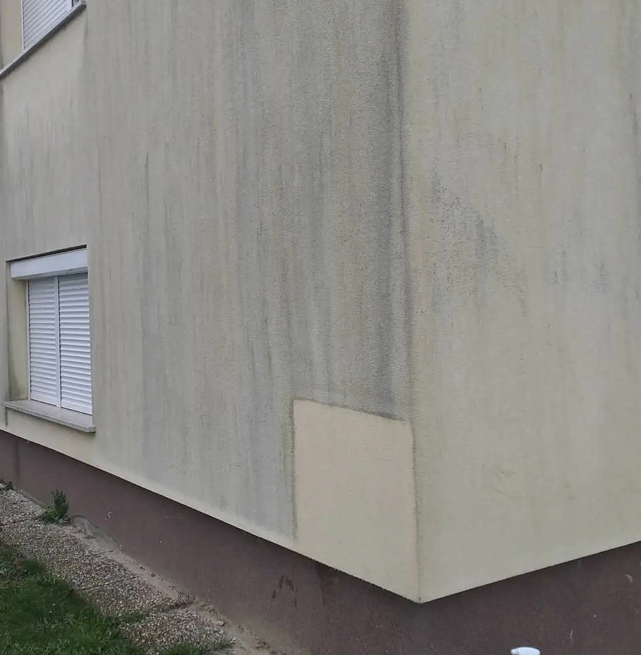 Alge na novi fasadi? Razlogi vas bodo presenetili.