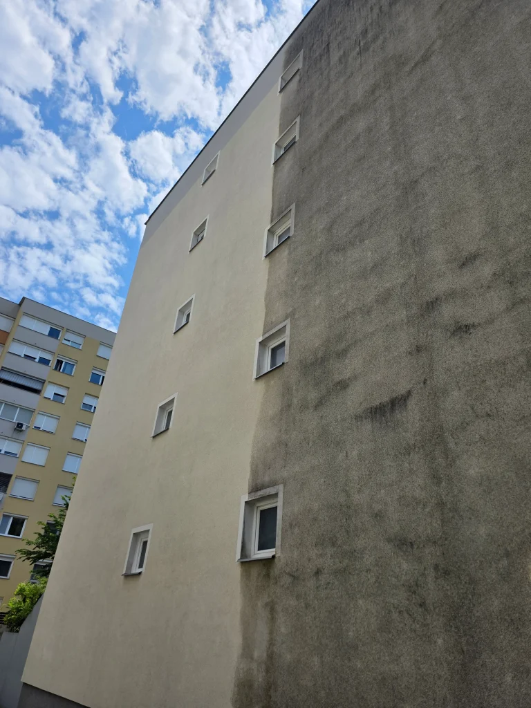 Pomebnost biocidnega sredstva za fasado: Zakaj samo čiščenje fasade ni dovolj?