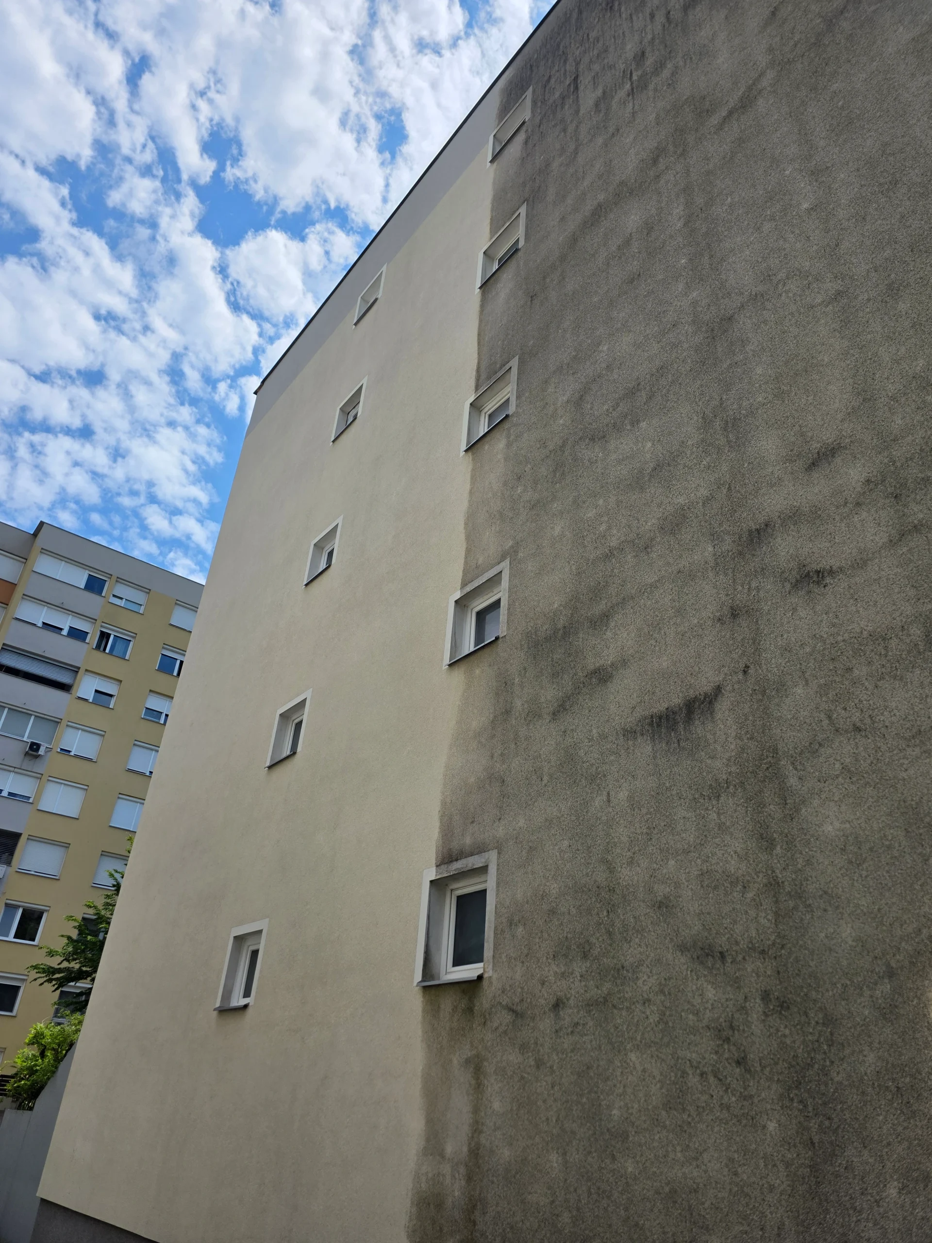 Pomebnost biocidnega sredstva za fasado: Zakaj samo čiščenje fasade ni dovolj?